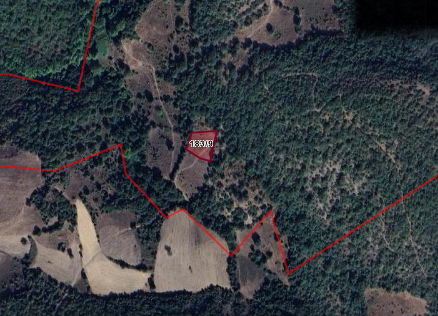 BALIKESİR KEPSUT SERÇEÖREN  KÖYÜNDE 1.304 M² TARLA SATILIKTIR - BALIKESİR KEPSUT fotoğraf 8